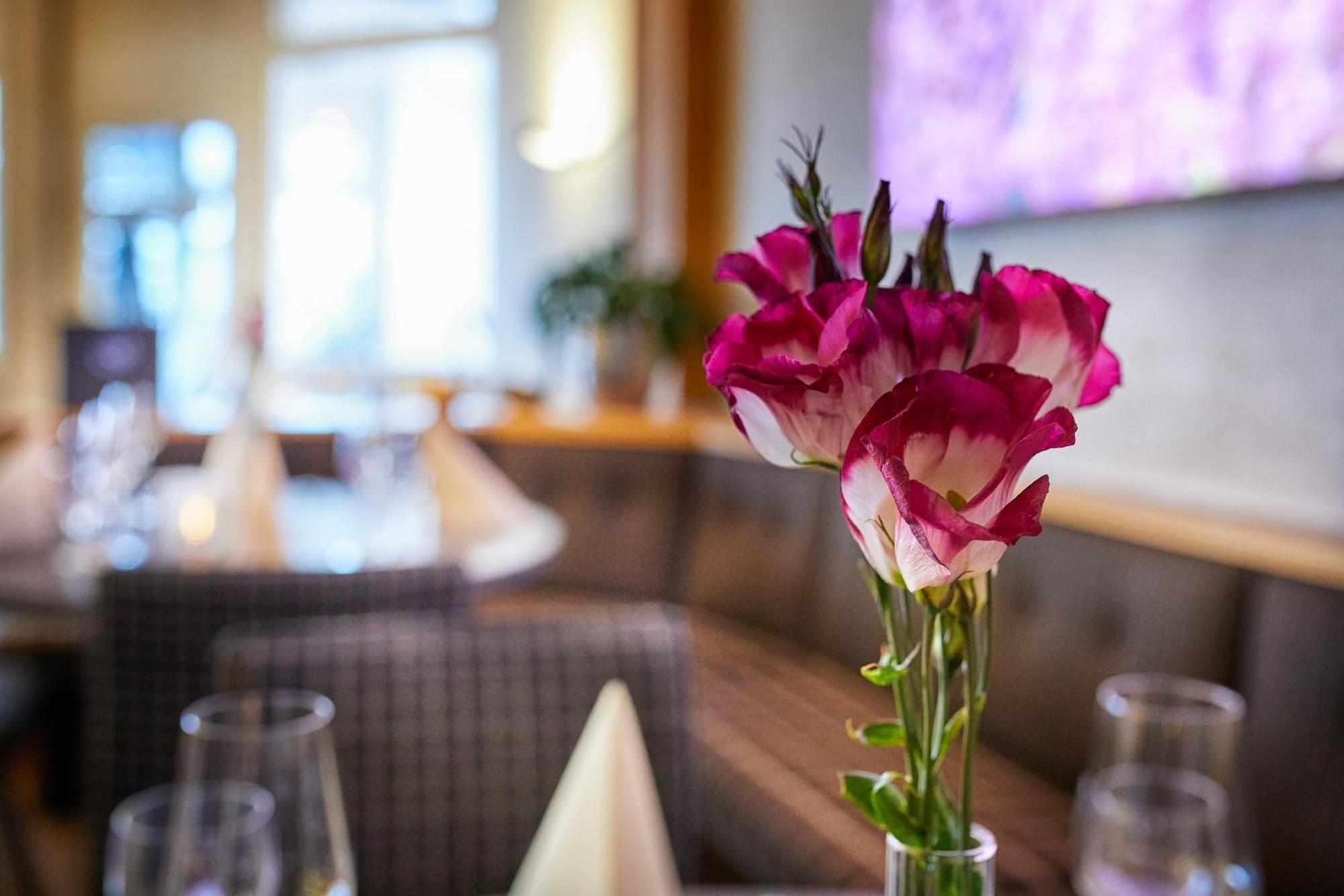 Hotel Pergola Im Goebels Hotel Rodenberg 로텐부르크안데어풀다 외부 사진
